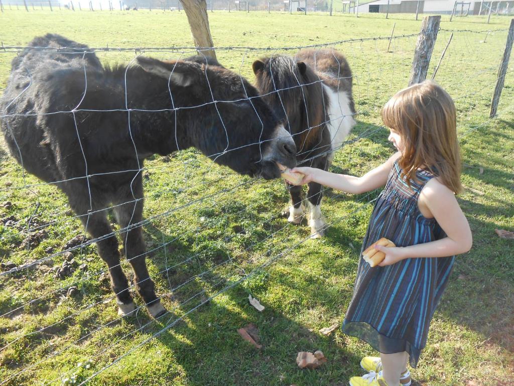 La Ferme Des 3 Suissesses Panzió Saint-Paul  Kültér fotó